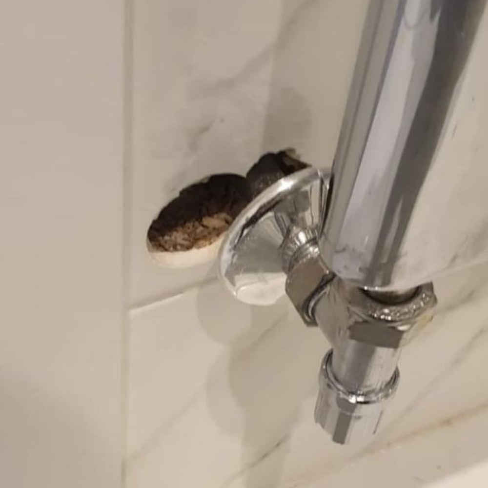 Wall tile repair — before