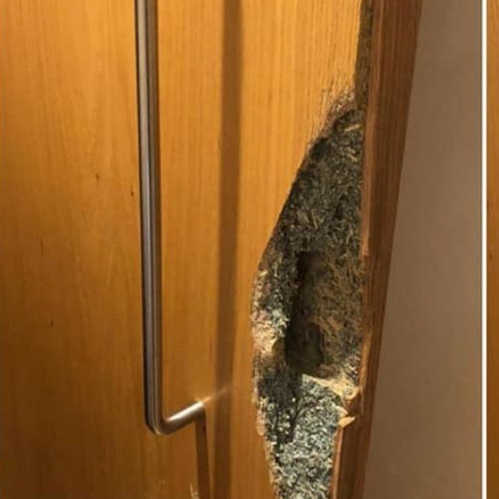 Timber-effect door repair — before